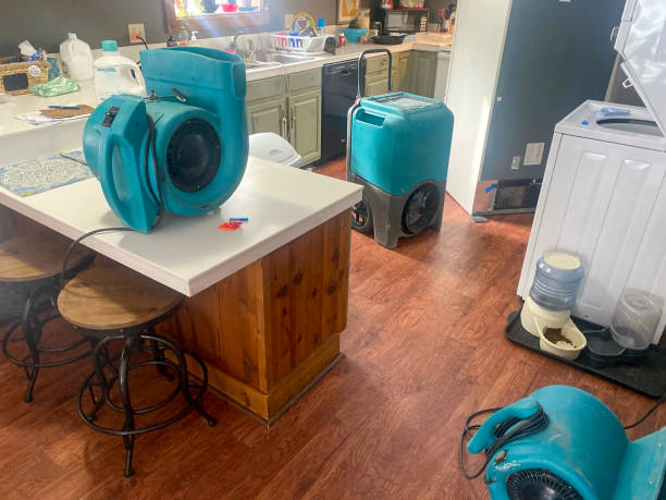 Best Commercial water damage restoration  in Pleasant Garden, NC