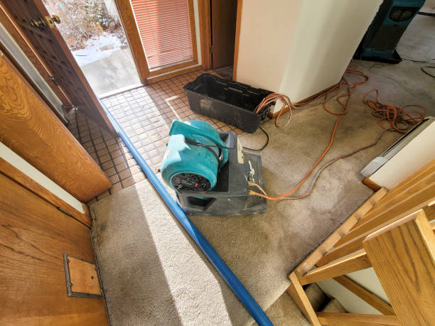 Best Water damage restoration near me  in Pleasant Garden, NC