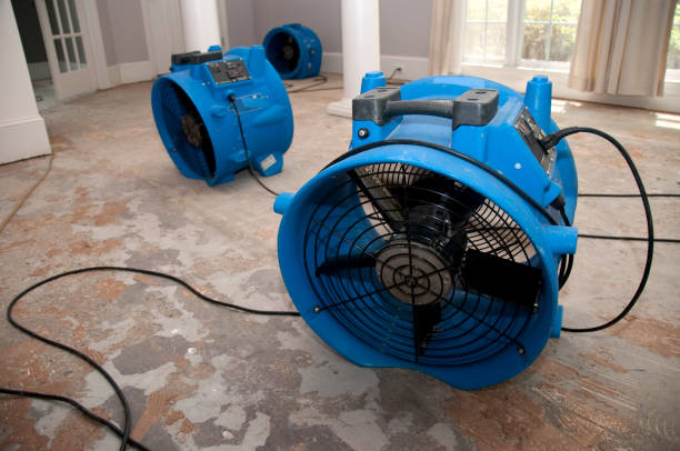 Best Water damage restoration insurance claims  in Pleasant Garden, NC