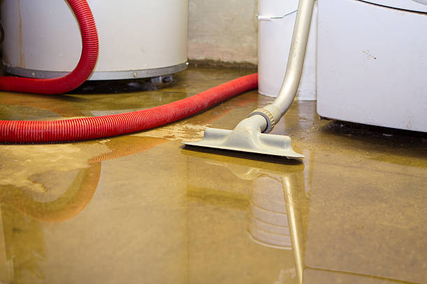 Best Professional water damage repair  in Pleasant Garden, NC