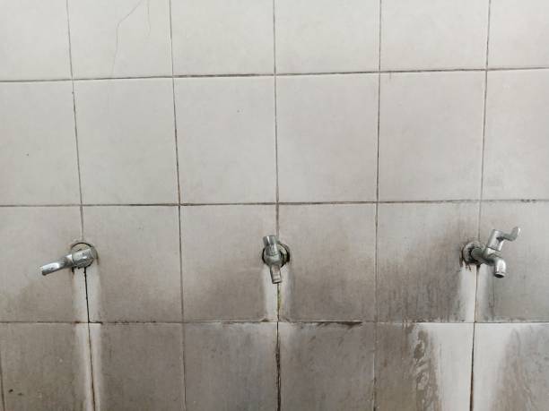 Best Fire Damage Restoration  in Pleasant Garden, NC