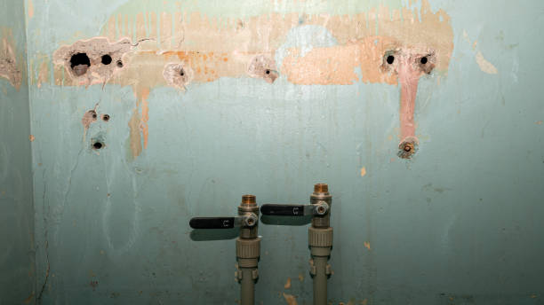 Best Flood damage cleanup  in Pleasant Garden, NC