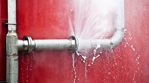 Best Ceiling water damage repair  in Pleasant Garden, NC